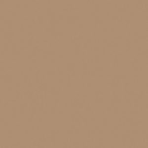 U250 PM Karamel bež