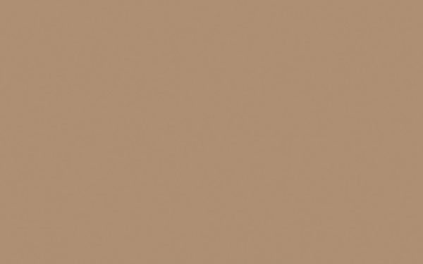 U250 PM Karamel bež U250 PM Karamel bež