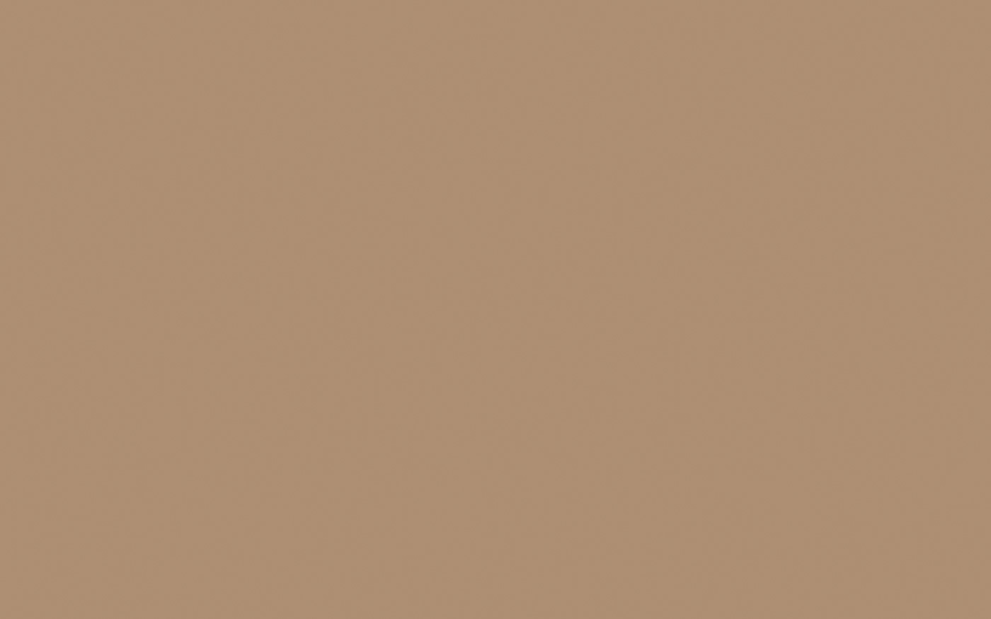 U250 PM Karamel bež